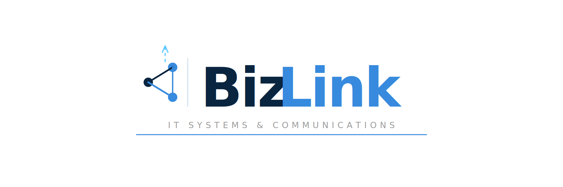 BizLink - IT Systems & Communications